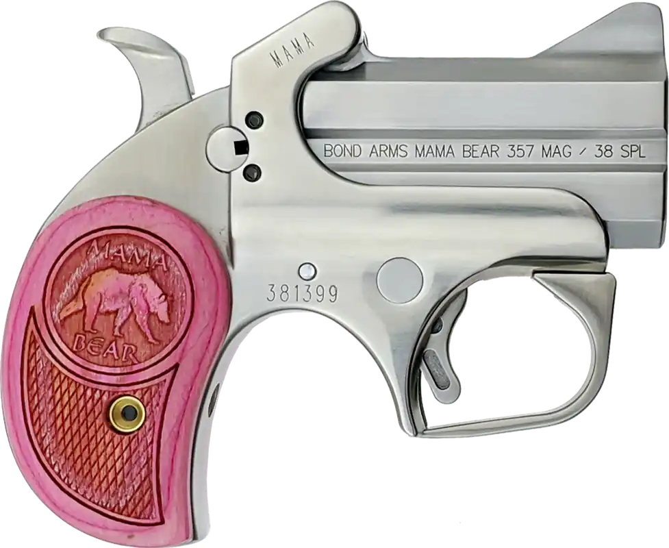 Bond Arms Mama Bear .357 Mag/.38 Special 2.5" Stainless Steel Double Barrel Pistol with Pink Wood Grip