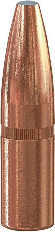 Speer 1222 Grand Slam 6mm 100gr Soft Point - 50 Rounds per Box, 5 Boxes per Case