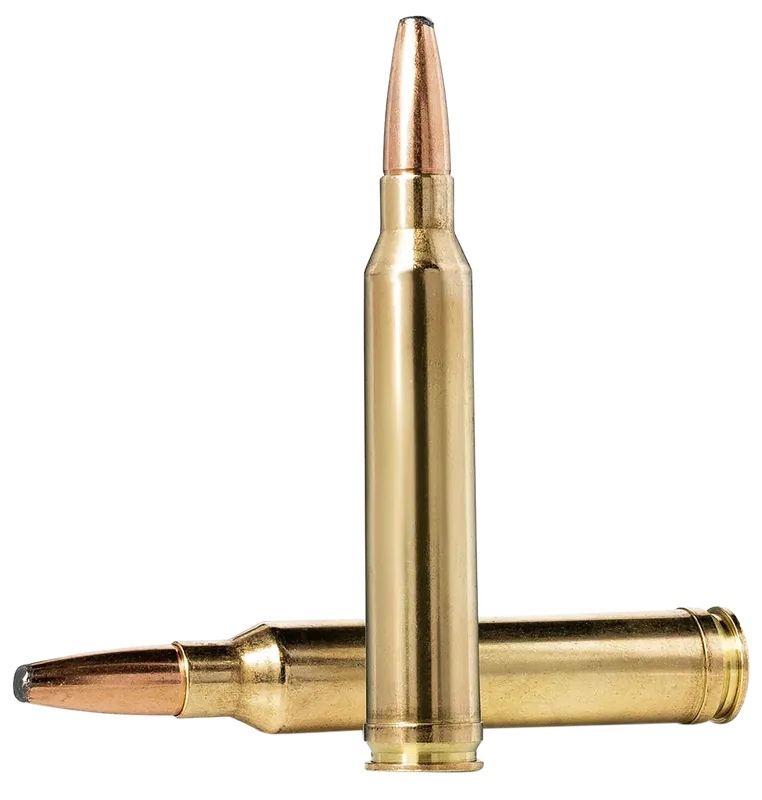Norma Oryx 30-06 Springfield 180gr Ammunition - 20 Rounds per Box