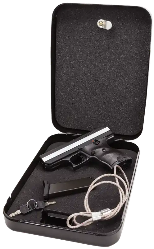Hi-Point CF380HSP Home Security Package: 380 ACP, 8+1 Capacity, Black Finish