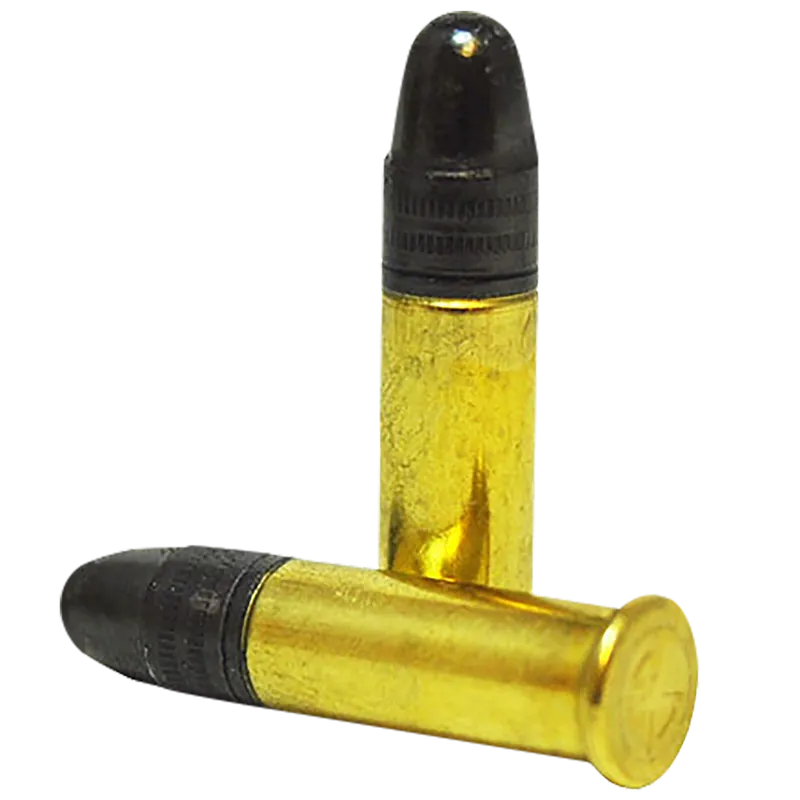 SK 420101 Standard Plus .22LR 40gr Ammunition - 50 Rounds/100 Case