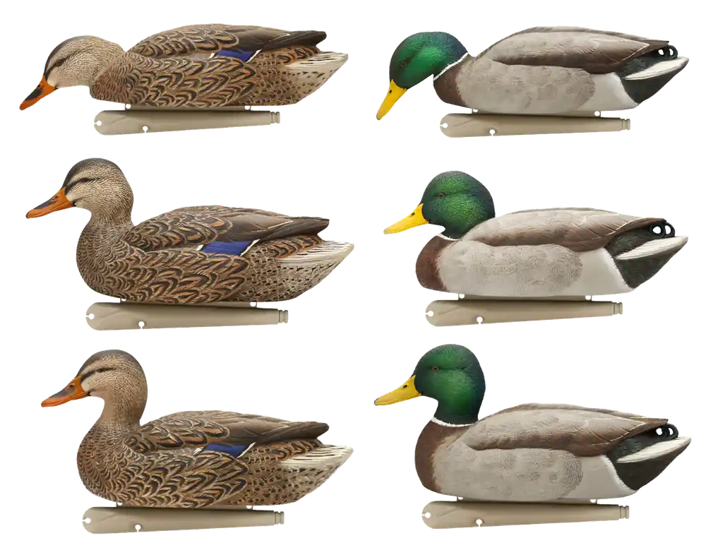 Avian X Topflight Fusion Mallards 6-Pack Multi-Color Decoys