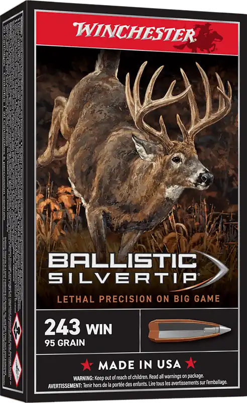Winchester Ballistic Silvertip .243 Win 55gr Ammo - 20 Rounds