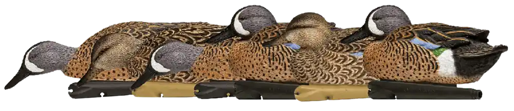 Avian X Topflight Blue-Winged Teal Decoys 6-Pack