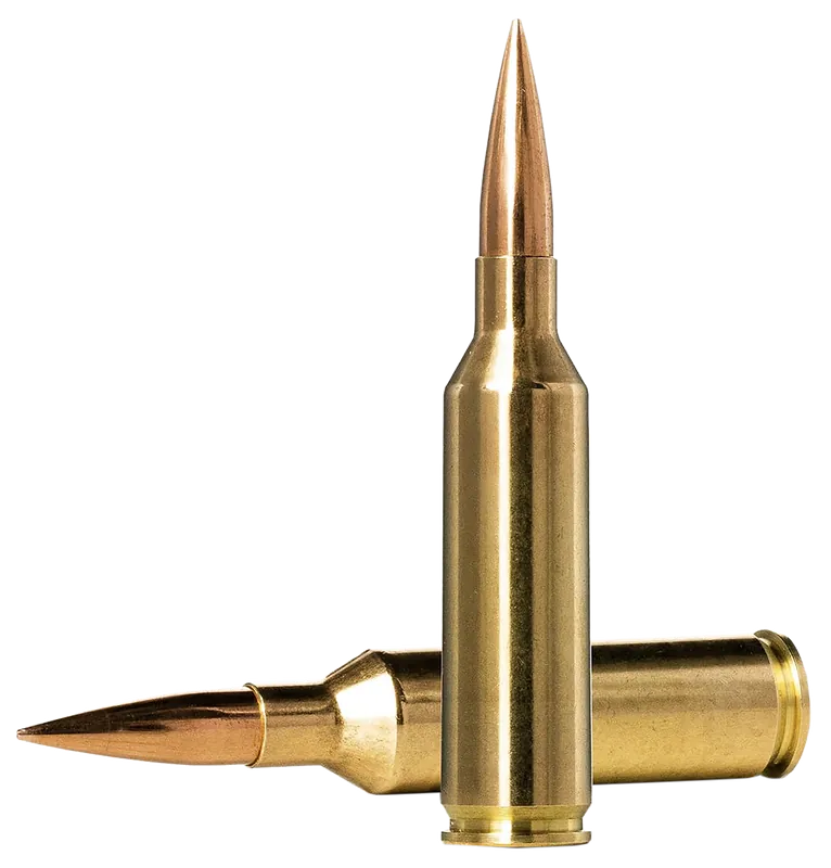 Norma 6.5PRC 143gr HPBT Golden Target Match Ammo - 20 Rounds