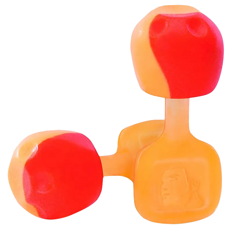 Howard Leight TrustFit Pod Earplugs, 28 dB Noise Reduction, 5 Pairs, Orange