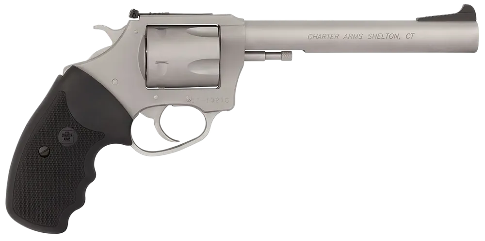 Charter Arms Pitbull 9mm Luger Revolver, 6" Stainless Steel, 5-Shot, Rubber Grip