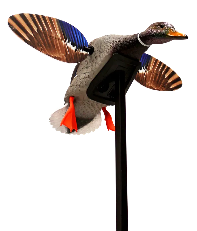 Elite Series Mini Mallard Drake Decoy - Multi-Color Plastic by Mojo Outdoors