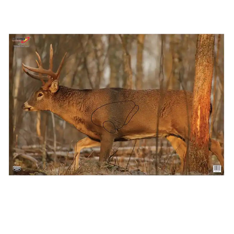 Birchwood Casey EZE-Scorer Whitetail Deer Target, 23"x35", Multi-Color, 2-Pack