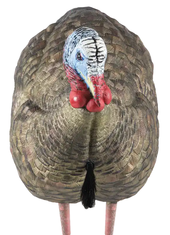 Avian X AVXAVX8012 LCD Half-Strut Jake Turkey Decoy - Multi-Color Dura-Rubber