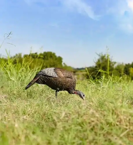 FlexTone Thunder Chick Feeding Hen Decoy with Stake