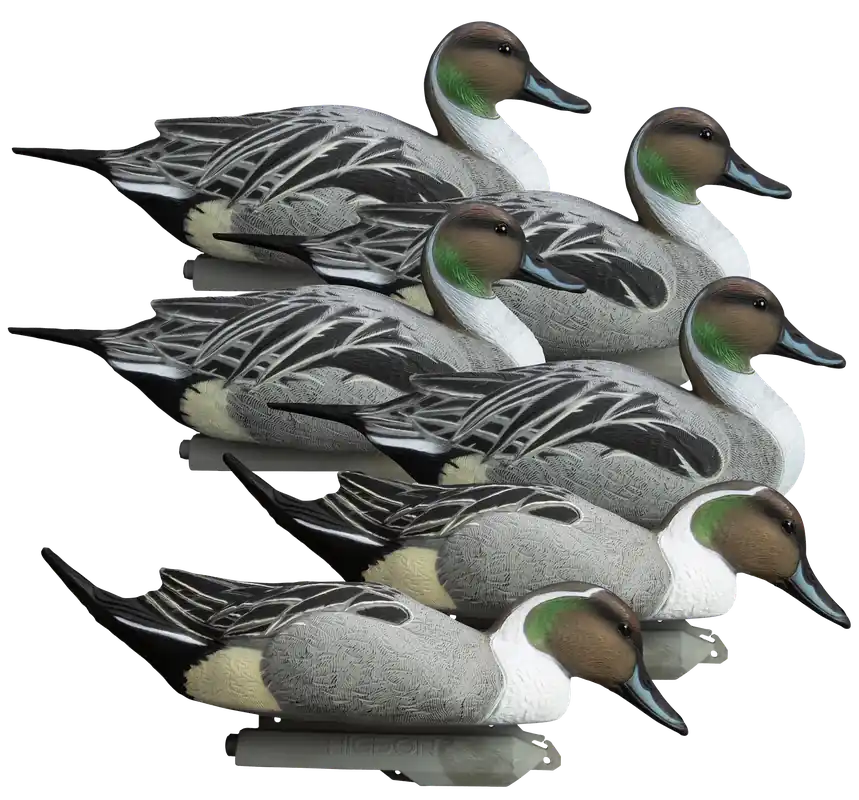 Higdon Outdoors 16544 Battleship Pintail Multi-Color Foam-Filled 6-Pack