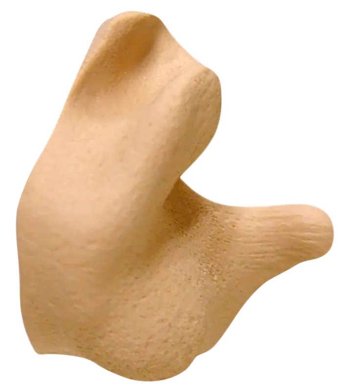 Radians CEP002T Custom Molded Silicone Earplugs, 26 dB Noise Reduction, Tan, Adult Size