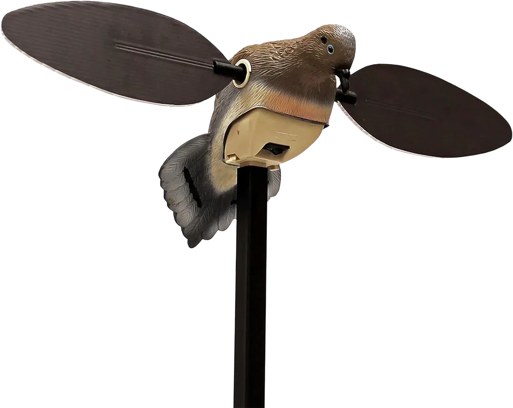 Mojo Outdoors Elite Series HW2488 Multi-Color PVC Dove Decoy