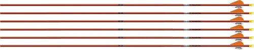 Bully Vanes 6-Pack Autumn Orgeaston Arrow FMJ 5mm 340 with 2"