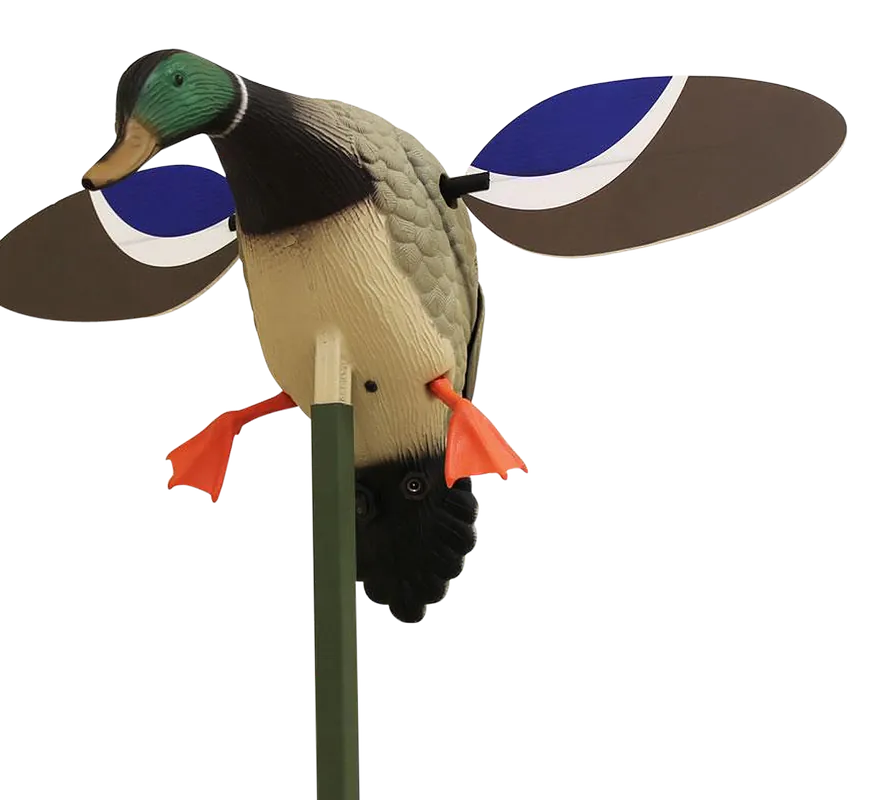 Mojo Outdoors Baby Mojo Drake Mallard Decoy - Multi-Color Synthetic
