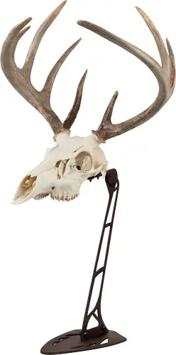 Brownallen EZ Mount Skull Stand Centerpiece