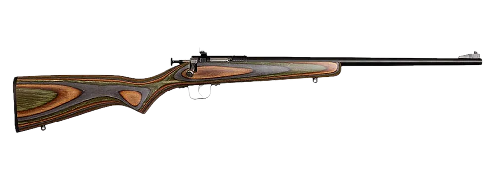 Chipmunk Gen2 .22 LR Single Shot Rifle with Camo Laminate Stock