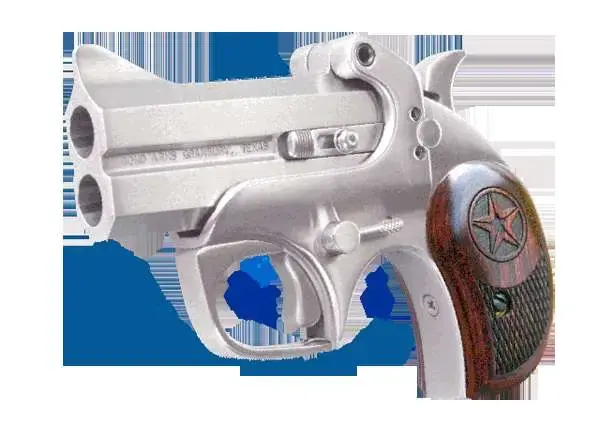 Bond Arms BATD Texas Defender 357 Mag 3" 2 Round Stainless