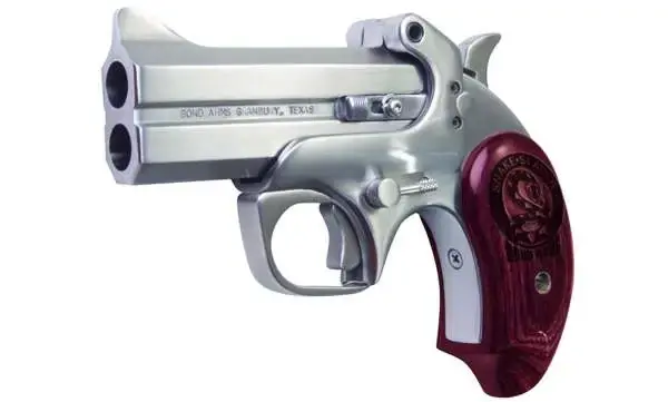 Bond Arms BASS Snakeslayer Original 45 Colt (LC)/410 Gauge 3.50" 2 Round Stainless