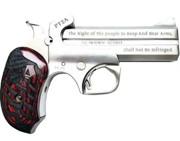 Bond Arms PT2A Protect the 2nd Amendment Derringer Single 45 Colt (LC)/410 Gauge 4.25" 2 Round Stainless Steel