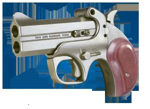 Bond Arms BAC2K Century 2000 45 Colt (LC)/410 Gauge 3.50" 2 Round Stainless