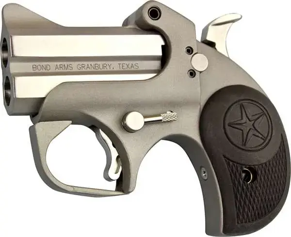 Bond Arms BARN Roughneck 45 ACP 2.50" 2 Round Stainless Steel 19oz