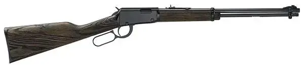 Henry H001GG Garden Gun Smoothbore 22 LR 15+1 18.50" Black Ash Black Right Hand