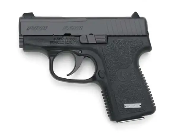 Kahr Arms KP3834N P380 380 ACP 2.53" 6+1 Black Stainless Steel Black Polymer Grip