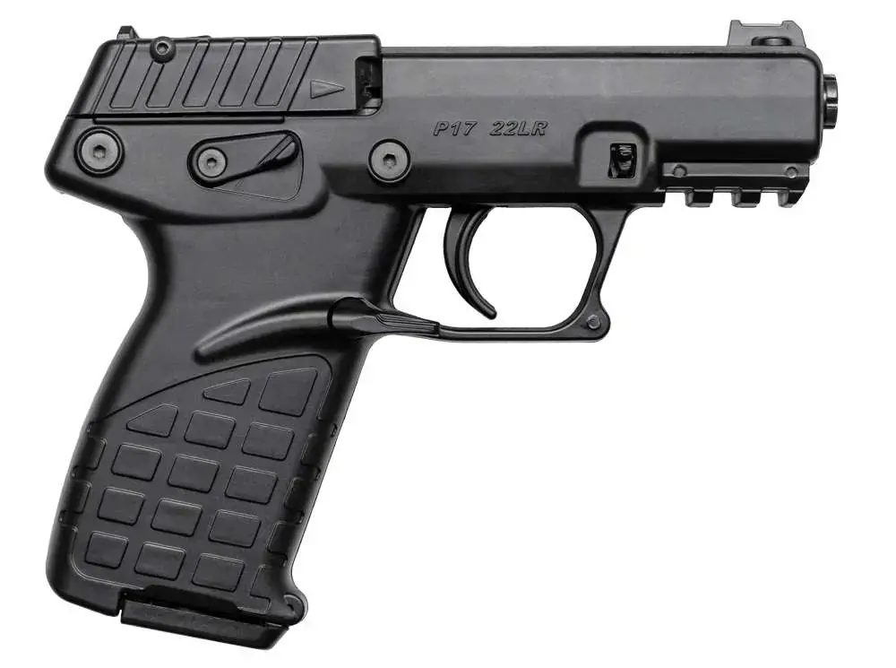 Kel-Tec .22 LR p17