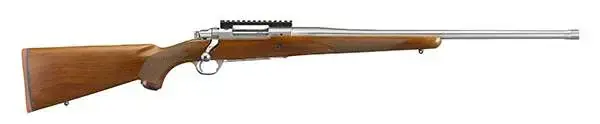 Ruger 57125 Hawkeye Hunter 204 Ruger 5+1 24" American Walnut Satin Stainless Right Hand