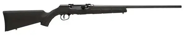 Savage 47700 A17 17 HM2 10+1 20" Matte Black Right Hand