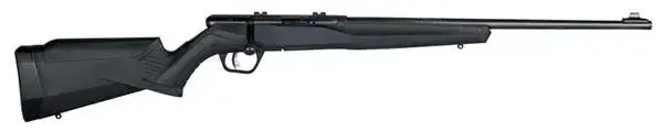 Savage 70200 B22 F 22 LR 10+1 21" Matte Black Matte Blued Right Hand