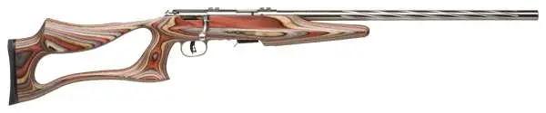 Savage 96771 93R17 BSEV Bolt 17 HMR 21" 5+1 Laminate Thumbhole Stk Stainless Steel