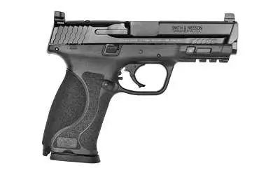 Smith & Wesson 11827 M&P Performance Center Pro M2.0 40 S&W 4.25" 15+1 NTS Matte Black Black Armornite Stainless Steel Black Interchangeable Backstrap Grip C.O.R.E.