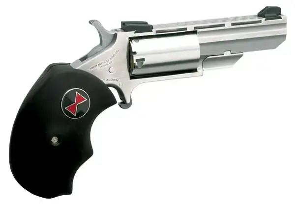 NAA BLK WIDOW 22/22M 2" AS 5SH