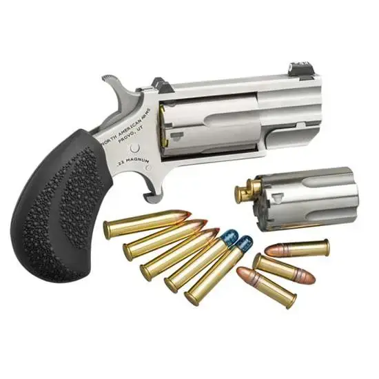 NAA PUG-TC Pug 22 LR,22 Mag 5rd 1" Stainless Black Rubber