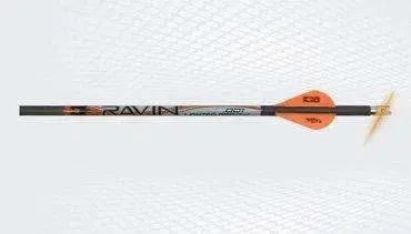 RAVIN LIGHTED ARROWS 400GR 3PK .001