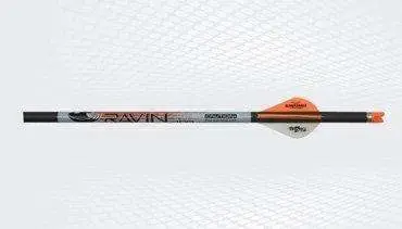 RAVIN ARROWS 400GR 6 PK .001