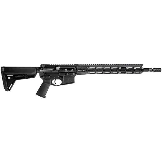 RISE WATCHMAN AR15 223WYLDE BLK 30RD