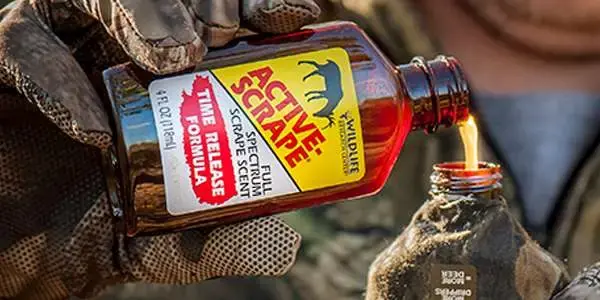 Wildlife Research 2404 Active-Scrape Buck Lure Doe In Estrous & Buck Urine 4 oz