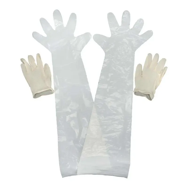 Allen 516 Latex Clear Shoulder/Wrist Latex OSFA 12 Pair