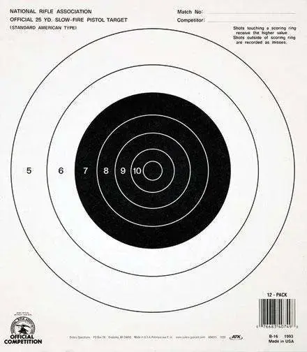 CHAMP TARGET 25YD SLOW FIRE TAGBOARD 12PK
