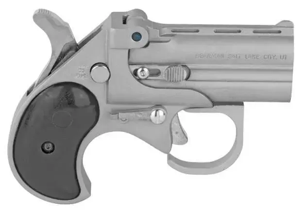 COBRA PISTOL/BEARMAN IND BBG22SB 22 Mag 2.75" 2rds Satin Nickel W/Black Grips