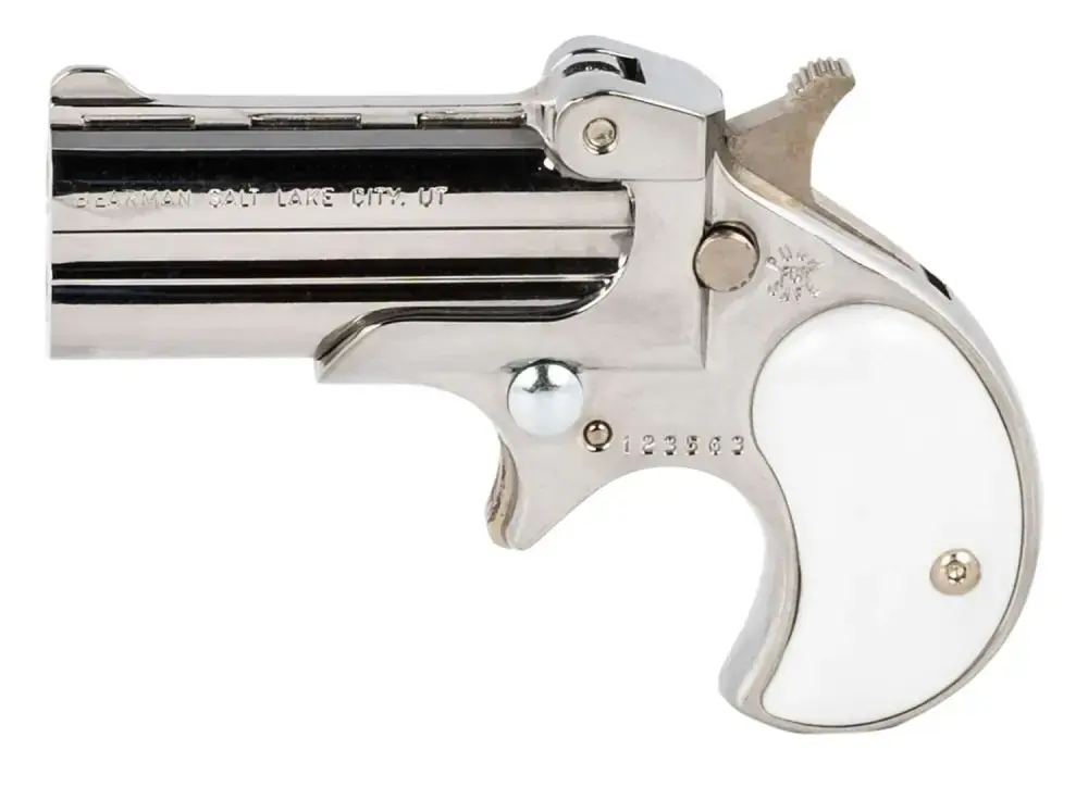COBRA PISTOL/BEARMAN IND BBG38CB 38 Special 2.75" 2rds Chrome W/Black Grips