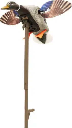 MOJO ELITE SERIES MINI MALLARD DRAKE DECOY