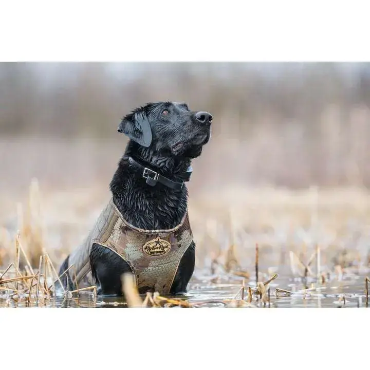 Bloodline Dog Vest Optifade Timber M