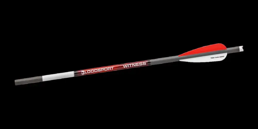 WITNESS 20in CROSSBOW BOLT 300 SPINE (6 PACK)