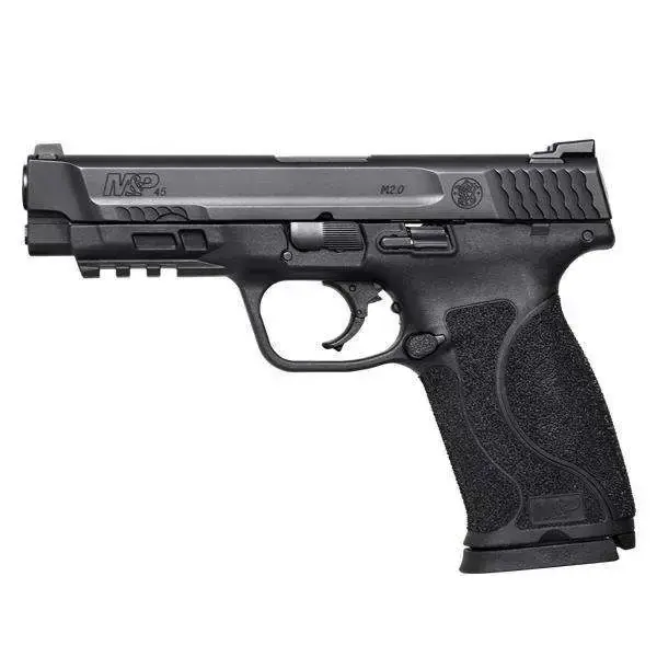 SW M&P45 45ACP M2.0 4.60 10RD BLK USED