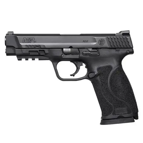 M&P45 2.0 NTS NMS WDS 3 MAGS 4.6" - Used